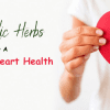 Ayurvedic Herbs For A Healthy Heart Health : An Introduction To Cardiac Medicines