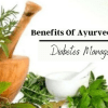 Understanding The Benefits Of Ayurvedic Herbs In Diabetes Management