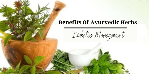 Understanding The Benefits Of Ayurvedic Herbs In Diabetes Management