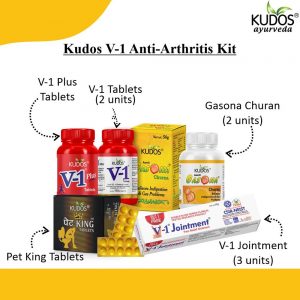 V1 Kit for joint pain 