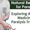 Natural Remedies for Paralysis: Exploring Ayurvedic Medicine for Paralysis Treatment