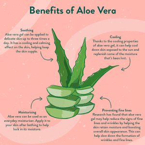 Aloe Vera Shampoo