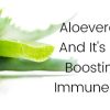 Aloevera Juice