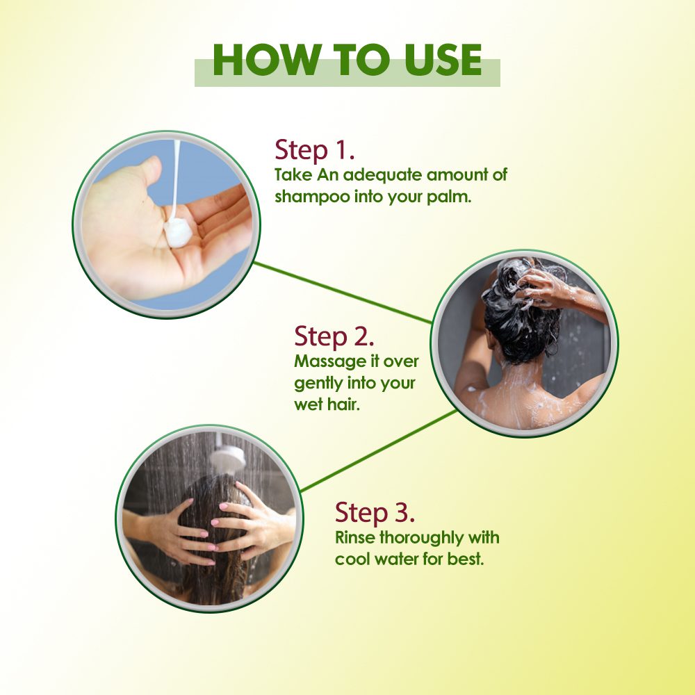 Amla Reetha Shikakai Shampoo - Hair Therapy Shampoo - Image 4