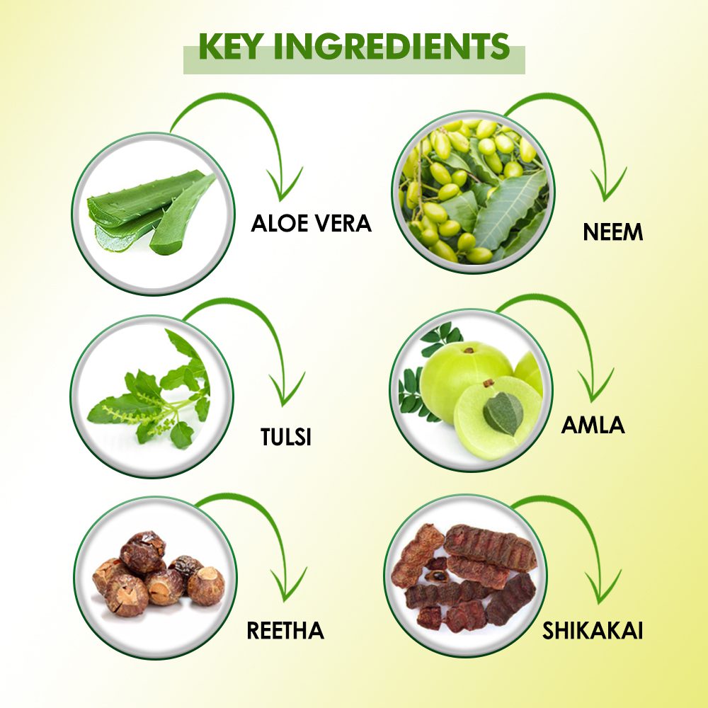 Amla Reetha Shikakai Shampoo - Hair Therapy Shampoo - Image 3
