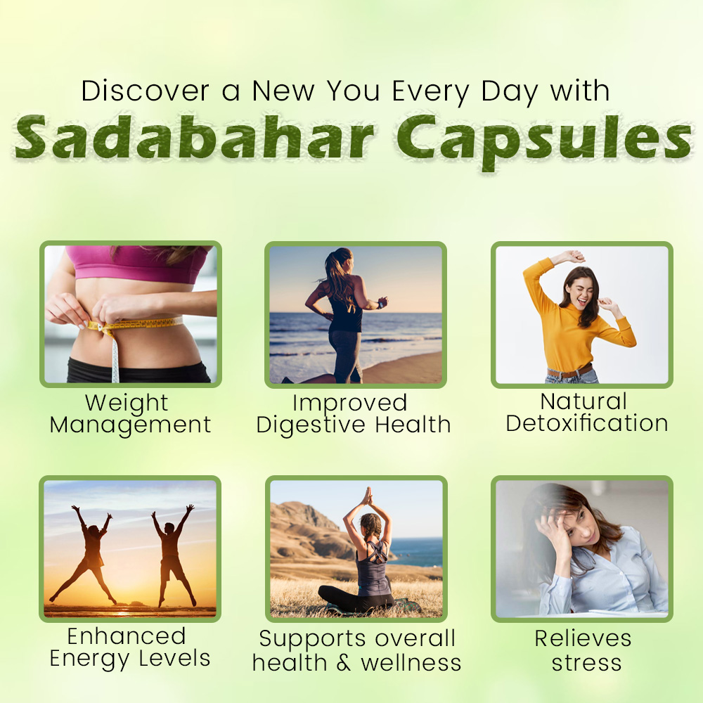 Sadabahar Capsules - Image 4