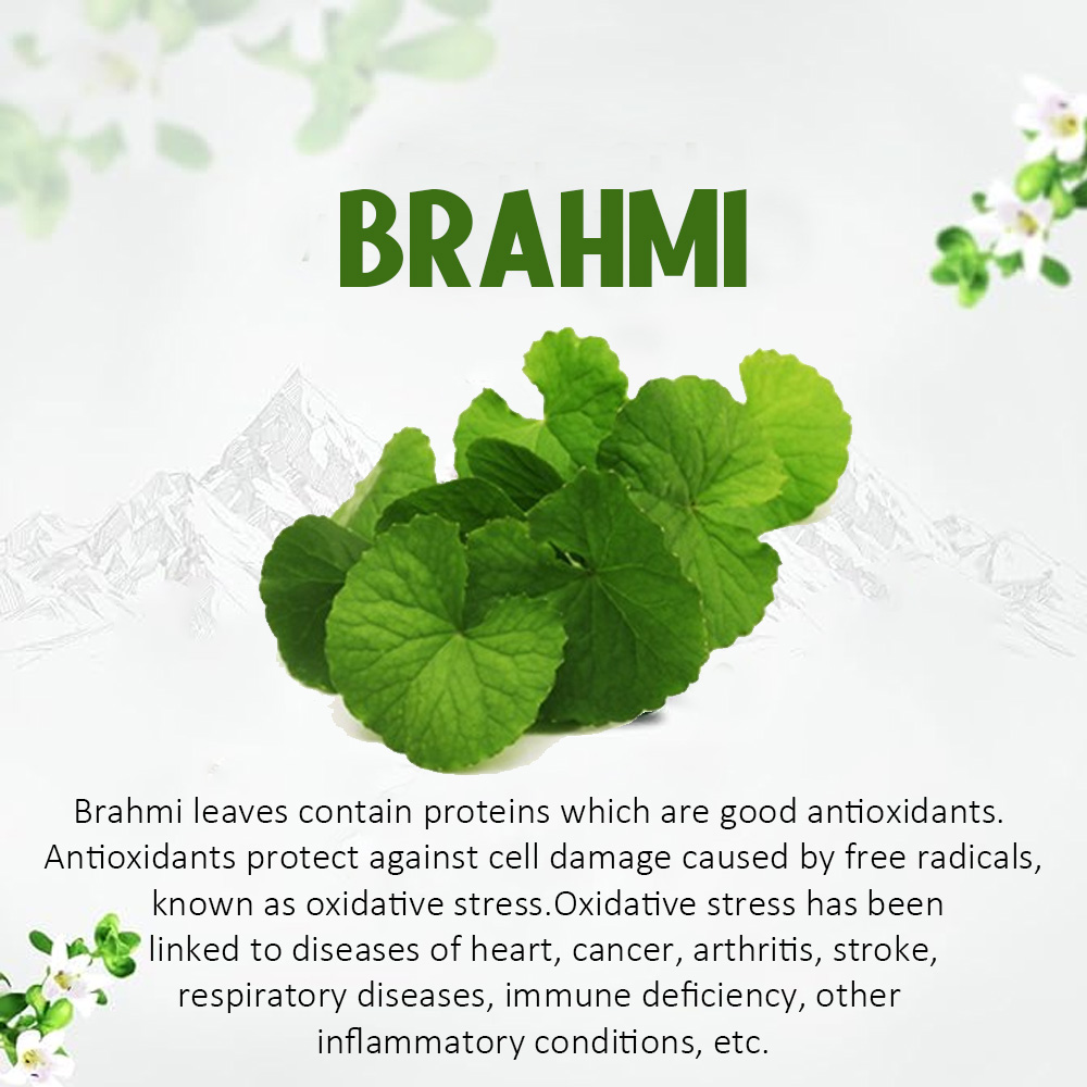 Brahmi (Mind Wellness) Tablets - Image 4