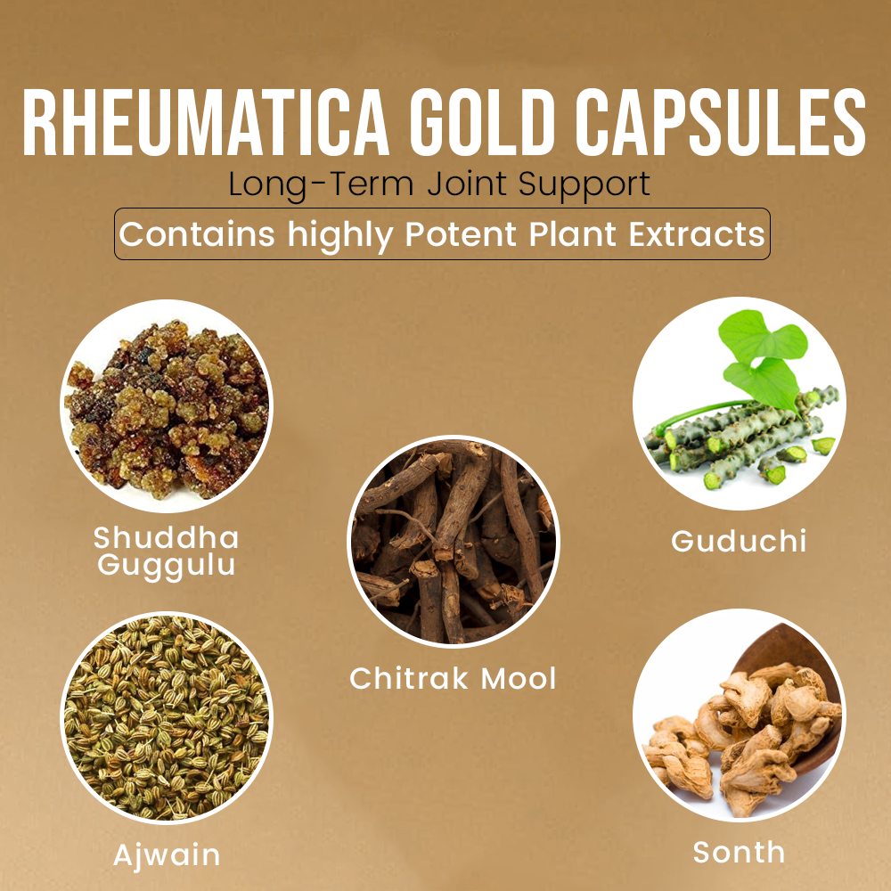 Rheumatica Gold Capsules 90 - Image 5