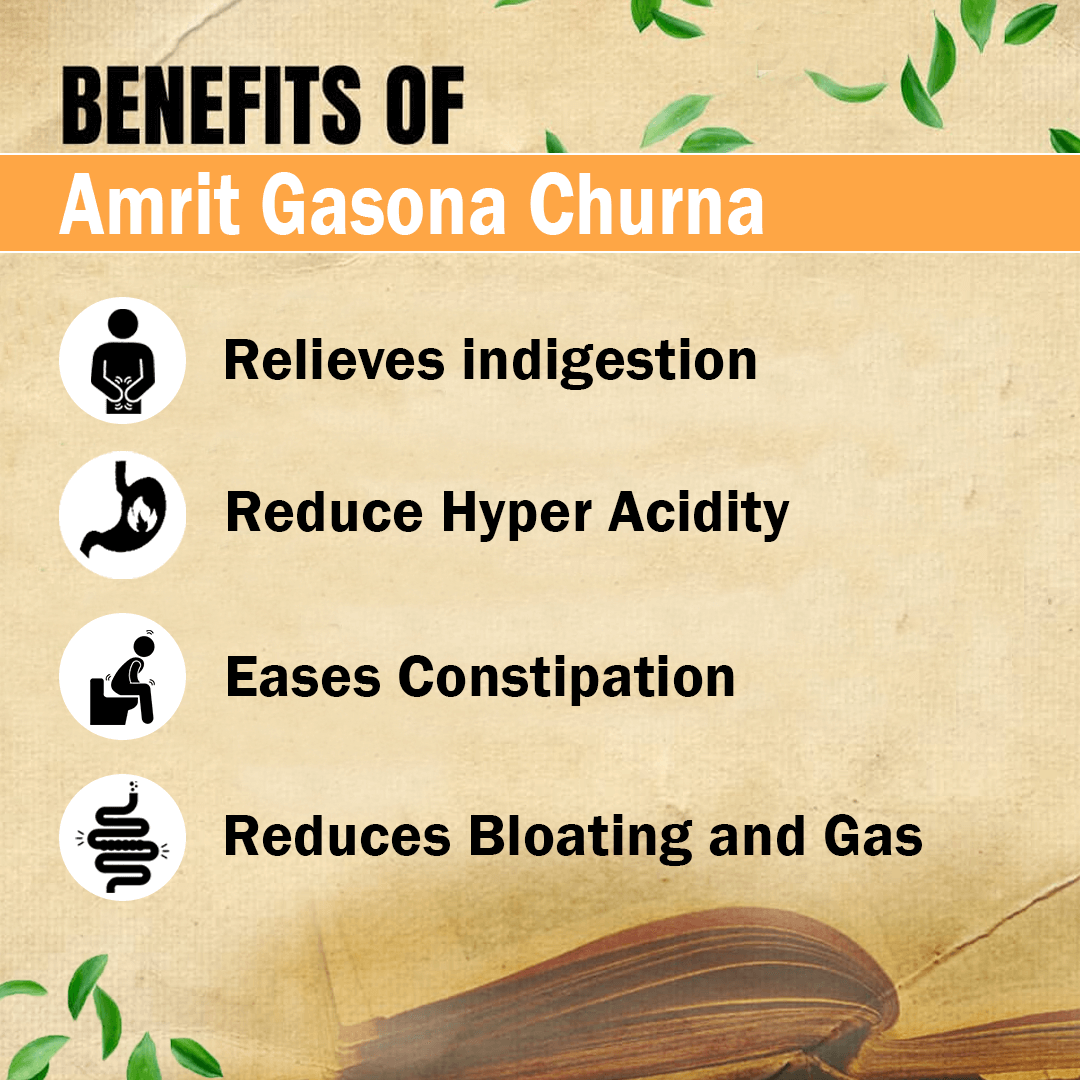 Kudos Amrit Gasona Churna - Image 5