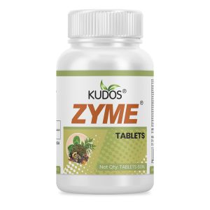 Zyme Tablets