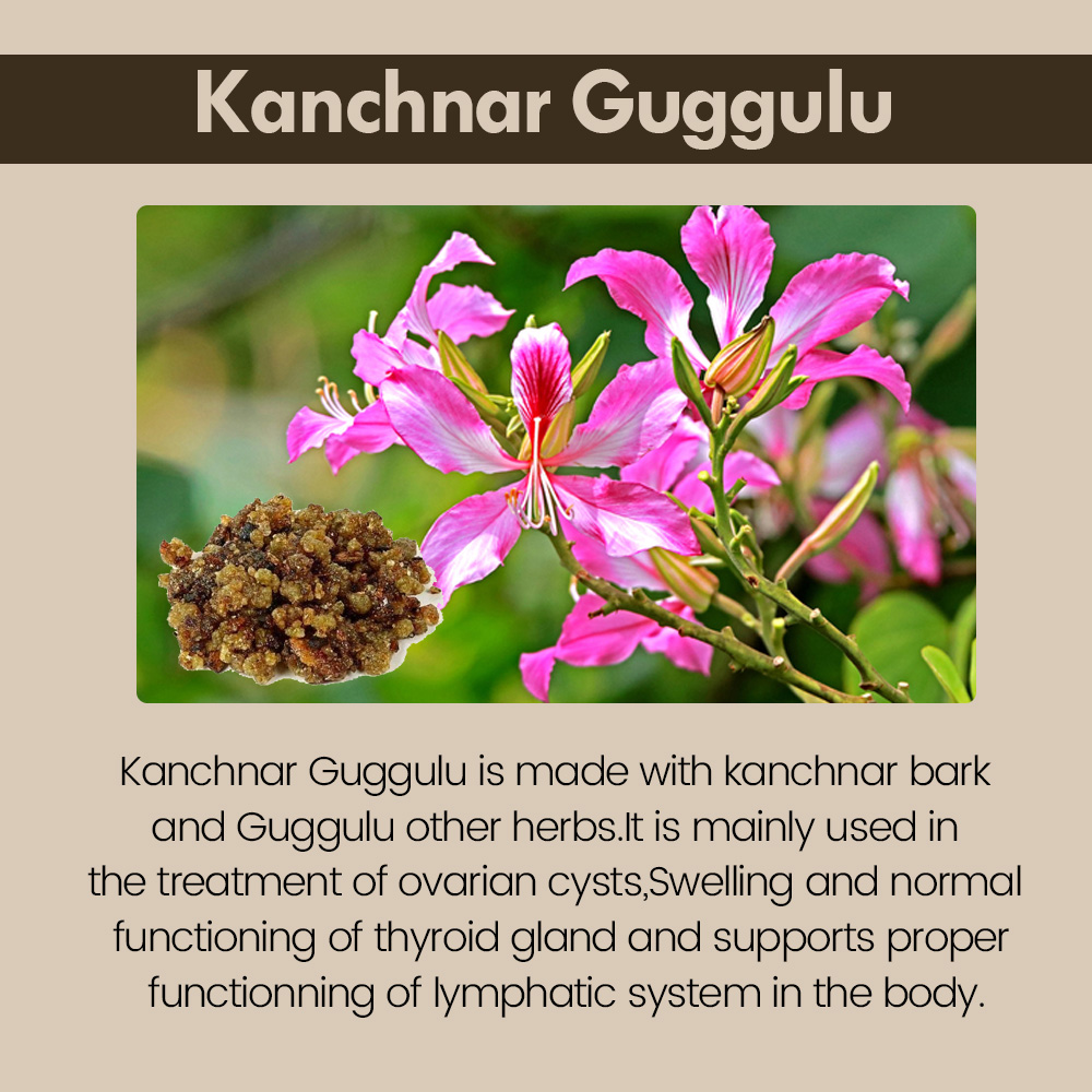 Kanchnar Guggulu - Image 5