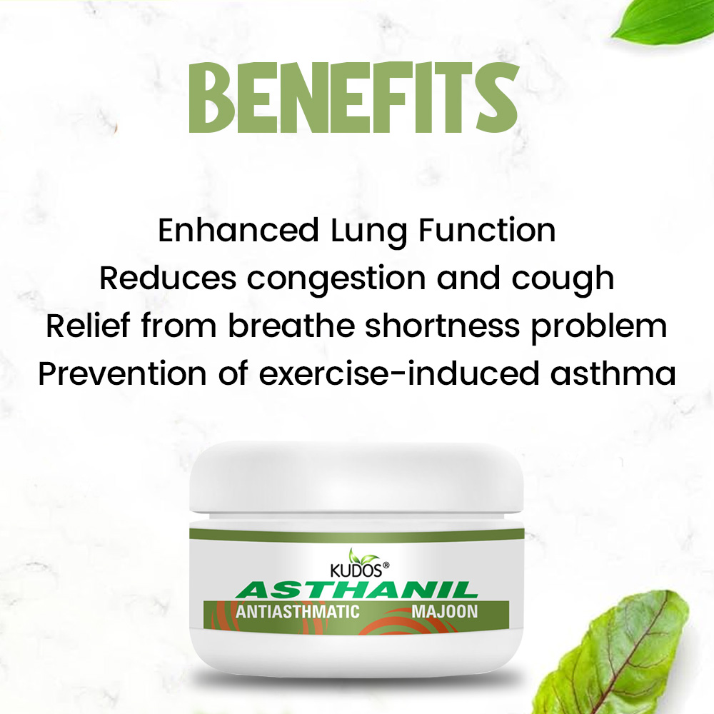 Ayurvedic Asthanil Majoon Herbal Supplement - Image 4
