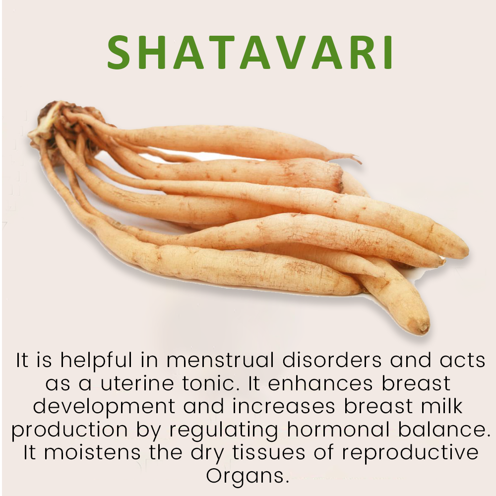 Shatavari Juice: A Natural Elixir for Female Well-being - Image 4
