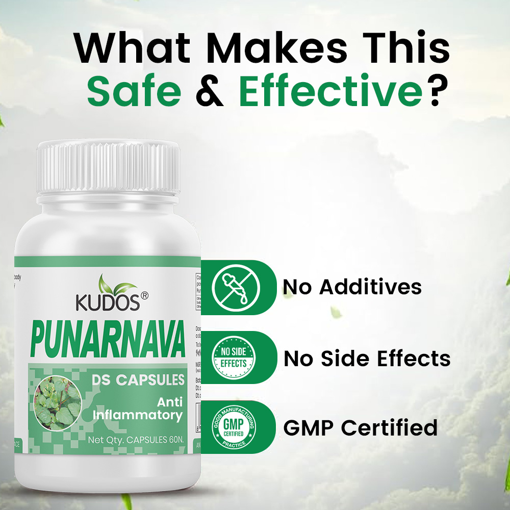 Punarnava Capsules - Image 4