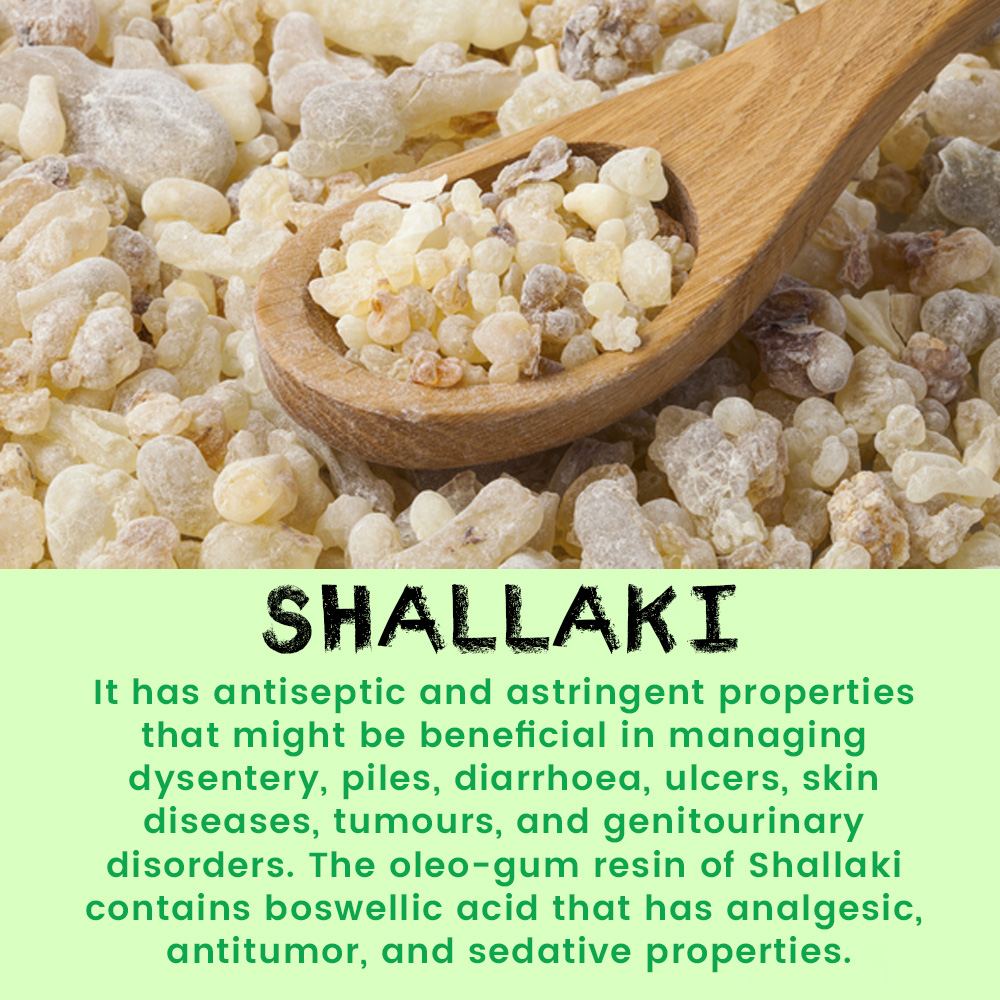 Shallaki Capsules - Image 5