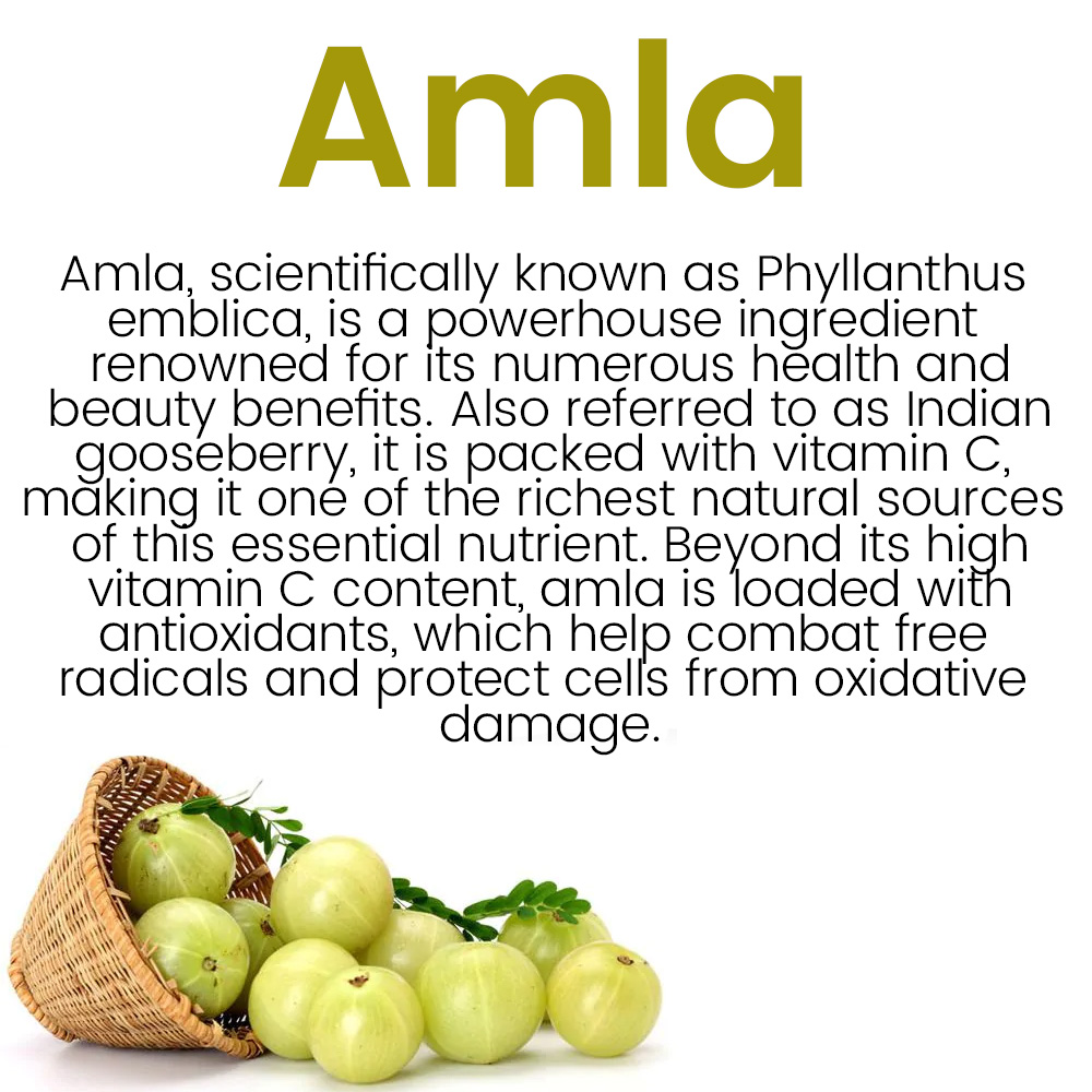 Amlaki Organic Amla Capsules - Image 5