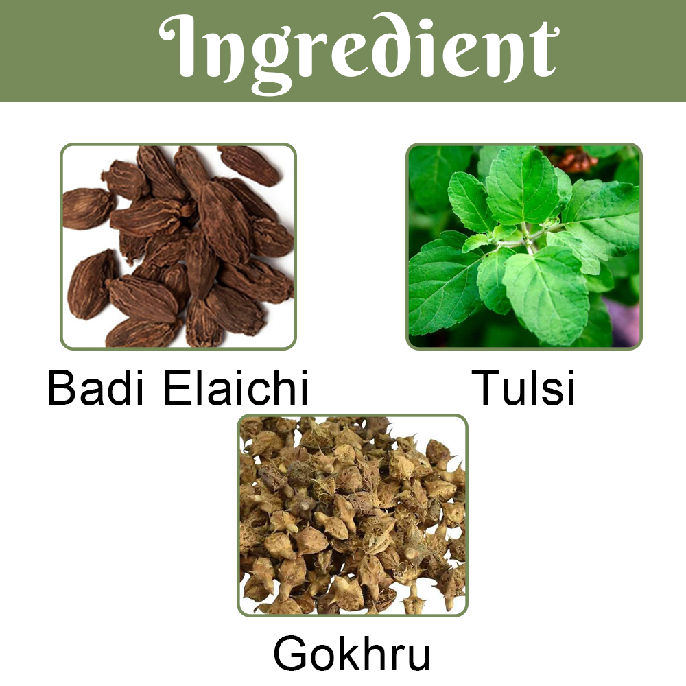 Nostha Syrup - Image 5