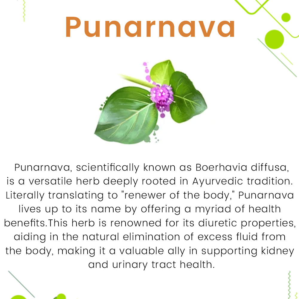 Punarnava Juice - Image 5