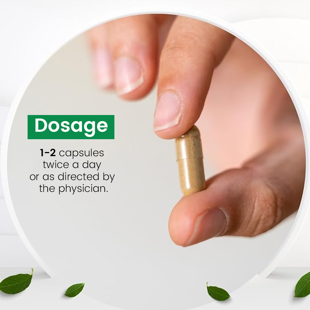 Punarnava Capsules - Image 6