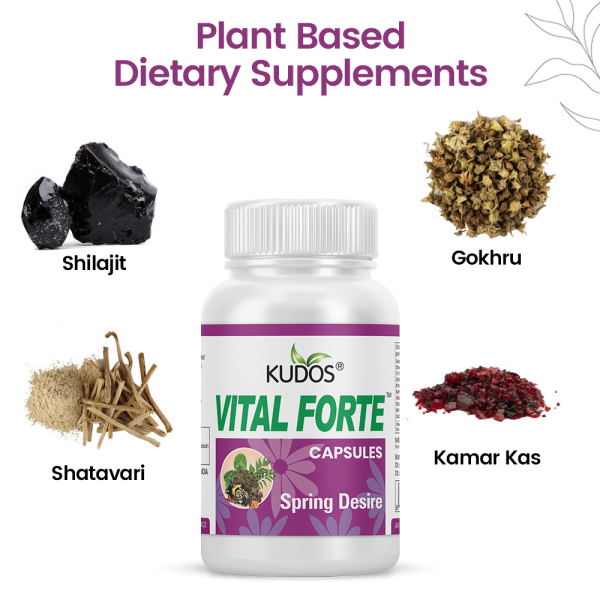 Vital Forte - Image 2